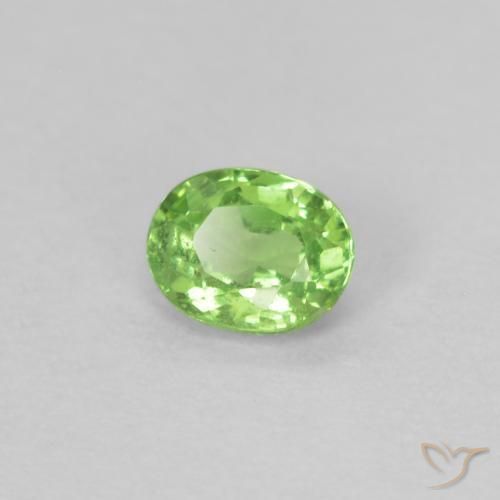 Granate tsavorita Verde vivo natural de 0.22 ct, Ovalada, VS