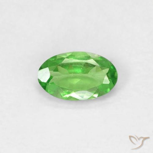 0.25ct Natural Verde vivo Granate Tsavorita, Ovalada, VVS