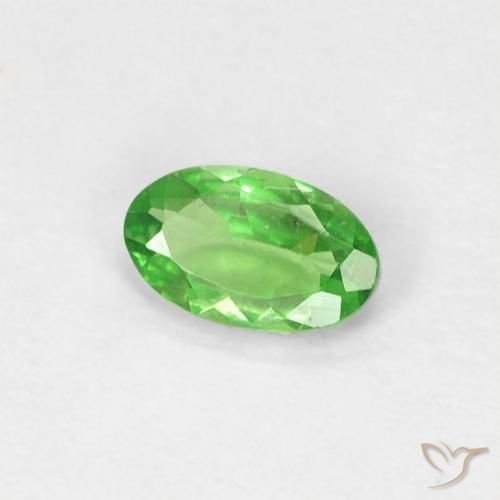 Granate tsavorita Verde vivo natural de 0.25 ct, Ovalada, VVS