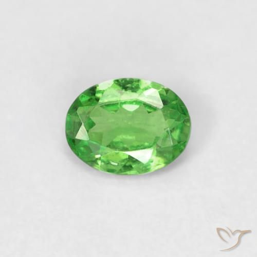 0.23ct Natural Verde vivo Granate Tsavorita, Ovalada, VS