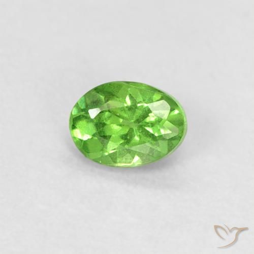0.24ct Natural Verde vivo Granate Tsavorita, Ovalada, VS