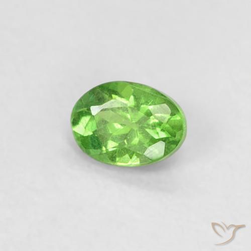 Granate tsavorita Verde vivo natural de 0.24 ct, Ovalada, VS
