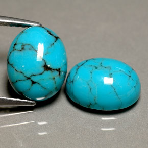 Gemas de turquesa azul natural de  ct, corte óvalo, opaco