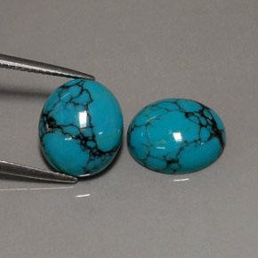 Gemas de turquesa azul natural de  ct, corte óvalo, opaco