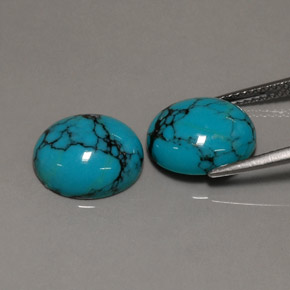 Gemas de turquesa azul natural de  ct, corte óvalo, opaco