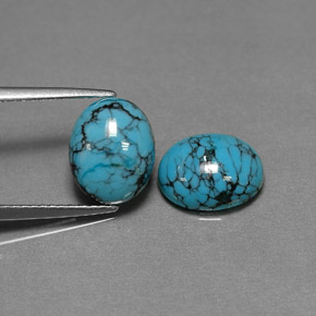 Gemas de Turquesa Azul natural de  ct, Corte Óvalo, Opaco
