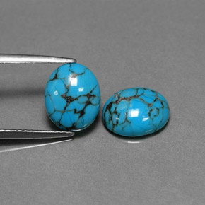 Gemas de turquesa azul natural de  ct, corte óvalo, opaco
