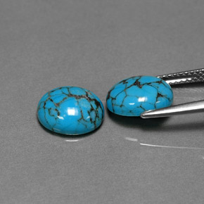 Gemas de turquesa azul natural de  ct, corte óvalo, opaco