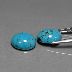 Gemas de turquesa azul natural de  ct, corte óvalo, opaco