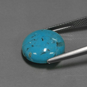 Turquesa Azul natural de 6.66 ct, Corte Redondo, Opaco