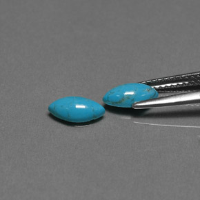 Gemas de turquesa azul natural de  ct, marquesa, opaco