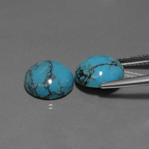 Gemas de turquesa azul natural de  ct, corte redondo, opaco