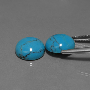 Gemas de turquesa azul natural de  ct, corte redondo, opaco