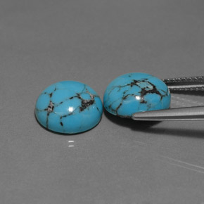 Gemas de turquesa azul natural de  ct, corte redondo, opaco