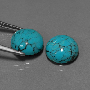 Gemas de turquesa azul natural de  ct, corte redondo, opaco