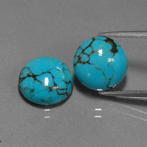 Gemas de turquesa azul natural de  ct, corte redondo, opaco
