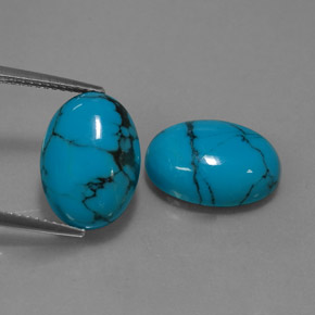 Gemas de turquesa azul natural de  ct, corte óvalo, opaco