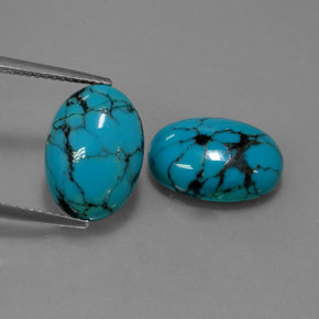 Gemas de turquesa azul natural de  ct, corte óvalo, opaco