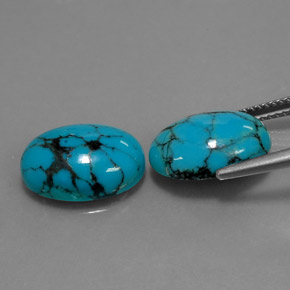 Gemas de turquesa azul natural de  ct, corte óvalo, opaco