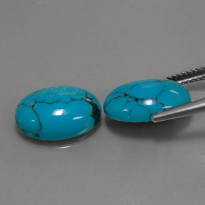 Gemas de turquesa azul natural de  ct, corte óvalo, opaco