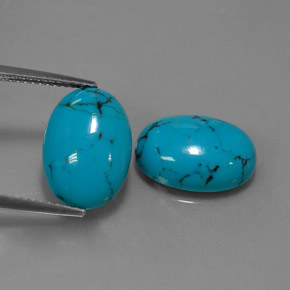 Gemas de turquesa azul natural de  ct, corte óvalo, opaco