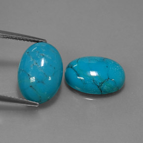 Gemas de turquesa azul natural de  ct, corte óvalo, opaco