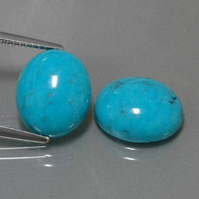 Gemas de turquesa azul natural de  ct, corte óvalo, opaco