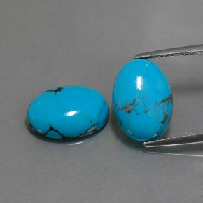 Gemas de turquesa azul natural de  ct, corte óvalo, opaco