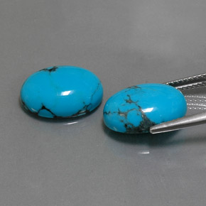 Gemas de turquesa azul natural de  ct, corte óvalo, opaco
