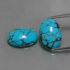 Gemas de turquesa azul natural de  ct, corte óvalo, opaco