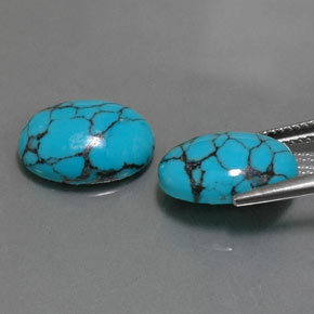 Gemas de turquesa azul natural de  ct, corte óvalo, opaco