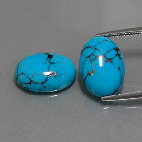 Gemas de turquesa azul natural de  ct, corte óvalo, opaco