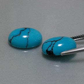 Gemas de turquesa azul natural de  ct, corte óvalo, opaco