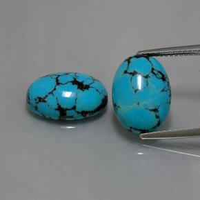 Gemas de turquesa azul natural de  ct, corte óvalo, opaco