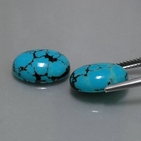 Gemas de turquesa azul natural de  ct, corte óvalo, opaco