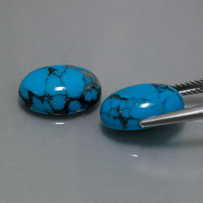Gemas de turquesa azul natural de  ct, corte óvalo, opaco