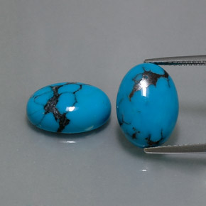 Gemas de turquesa azul natural de  ct, corte óvalo, opaco