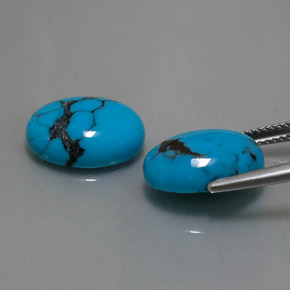 Gemas de turquesa azul natural de  ct, corte óvalo, opaco
