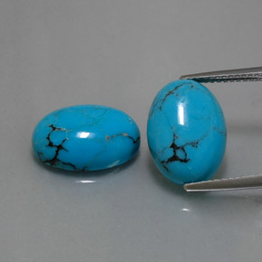 Gemas de turquesa azul natural de  ct, corte óvalo, opaco