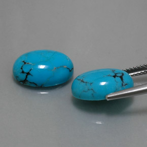 Gemas de turquesa azul natural de  ct, corte óvalo, opaco