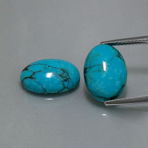 Gemas de turquesa azul natural de  ct, corte óvalo, opaco