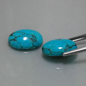 Gemas de turquesa azul natural de  ct, corte óvalo, opaco