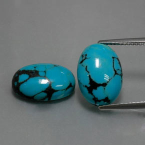 Gemas de turquesa azul natural de  ct, corte óvalo, opaco