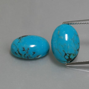 Gemas de turquesa azul natural de  ct, corte óvalo, opaco