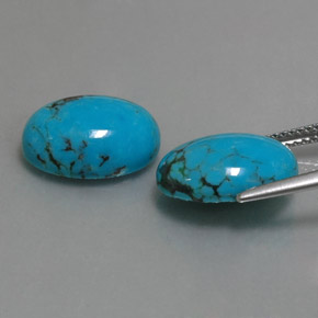 Gemas de turquesa azul natural de  ct, corte óvalo, opaco