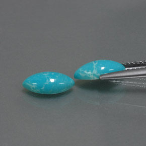 Gemas de turquesa azul natural de  ct, marquesa, opaco