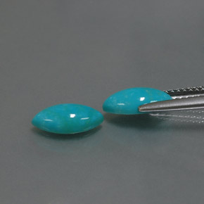 Gemas de turquesa azul natural de  ct, marquesa, opaco