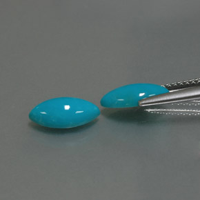 Gemas de turquesa azul natural de  ct, marquesa, opaco