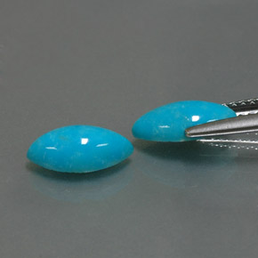Gemas de turquesa azul natural de  ct, marquesa, opaco