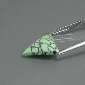 Turquesa Verde amarillo natural de 2.71 ct, Trillón, Opaco